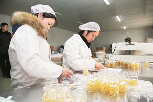 長葛蜂產業 星星之火，如何實現蜂火燎原