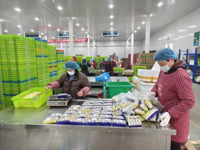 年味漸濃，果蔬禽畜開(kāi)啟“春運(yùn)”模式